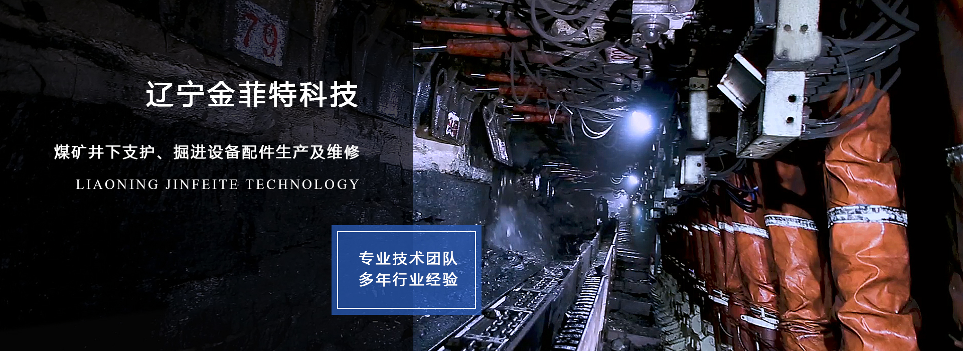 遼寧金菲特科技有限公司 遼寧金菲特科技有限公司